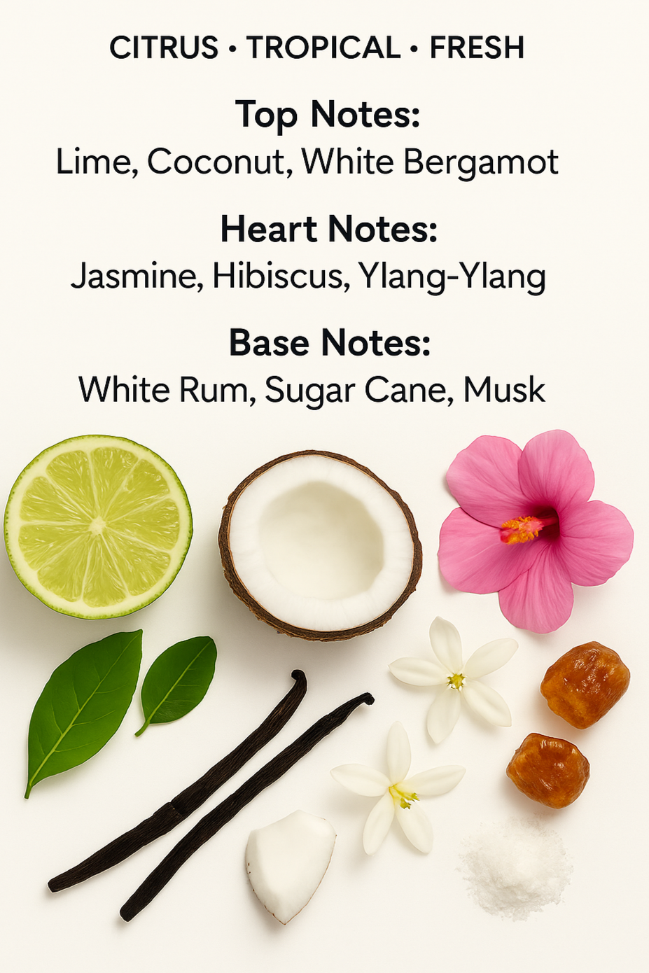 Creed Virgin Island Water scent profile with lime, coconut, and rum notes