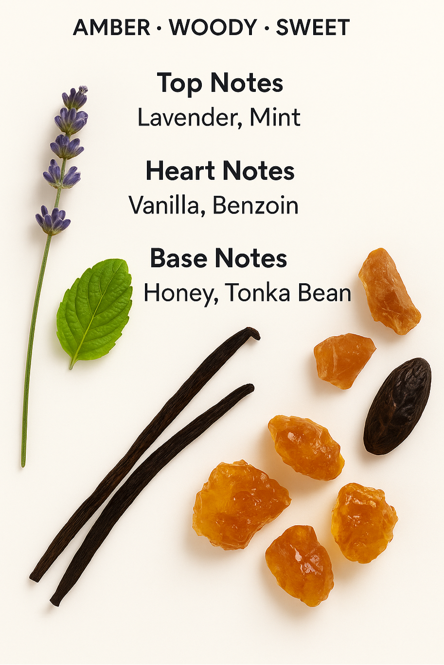 Le Male Elixir scent profile showing amber, vanilla, and lavender notes