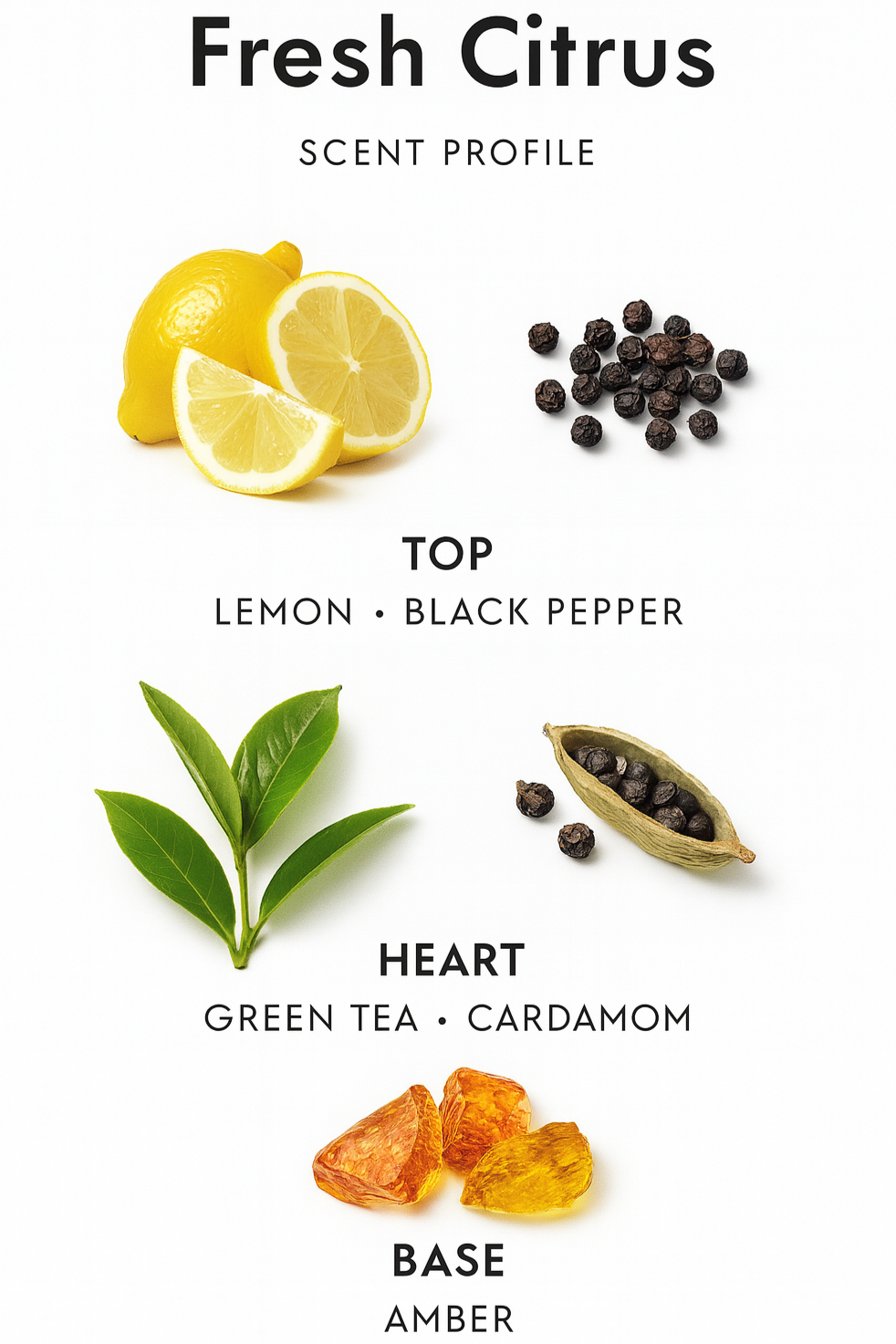 L’Immensité scent chart showing ginger, amber, and grapefruit notes