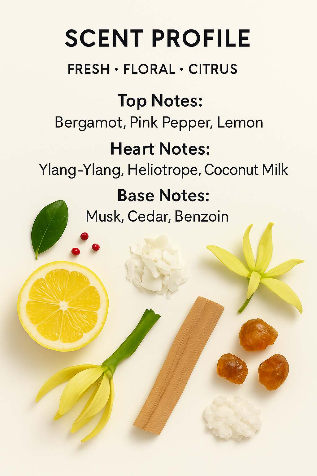 Maison Margiela Beach Walk scent profile and fragrance notes chart