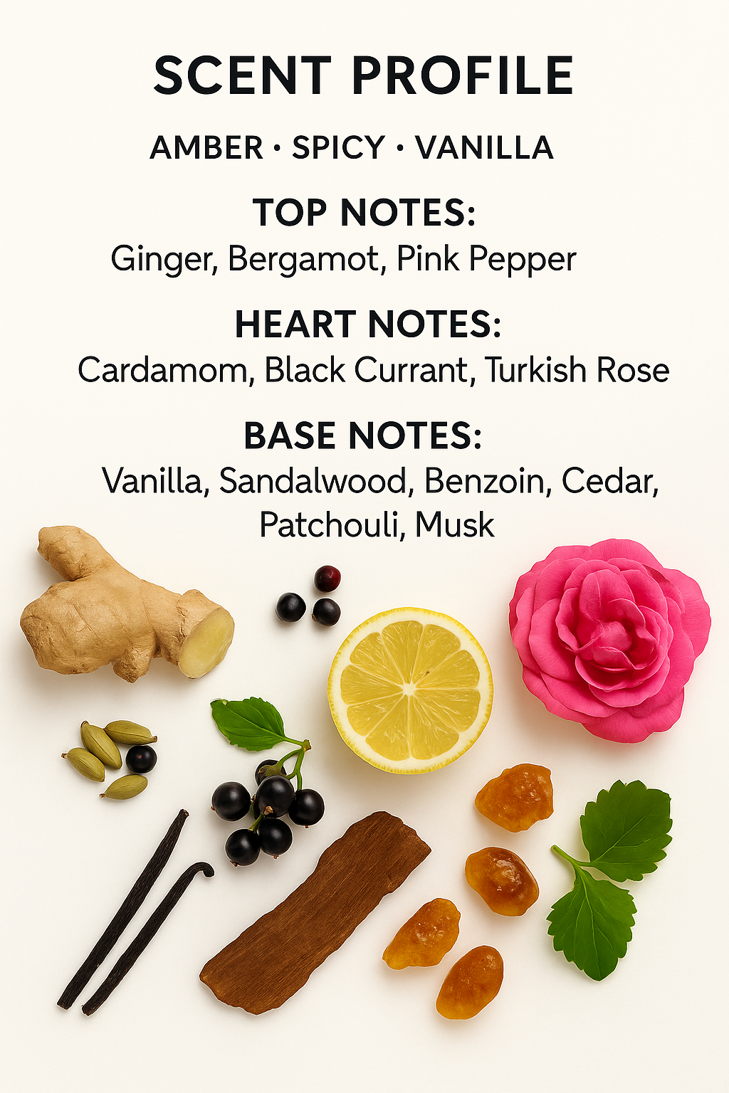 Nishane Ani scent profile and fragrance notes chart
